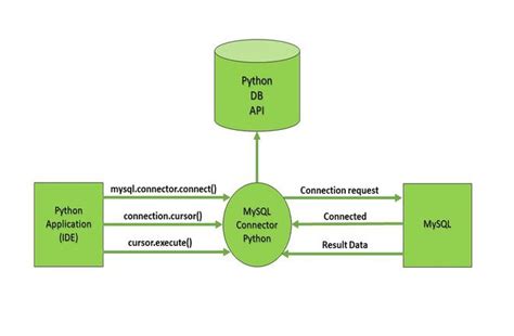 如何用Python整合數據庫操作？讓我們一起揭開秘密！